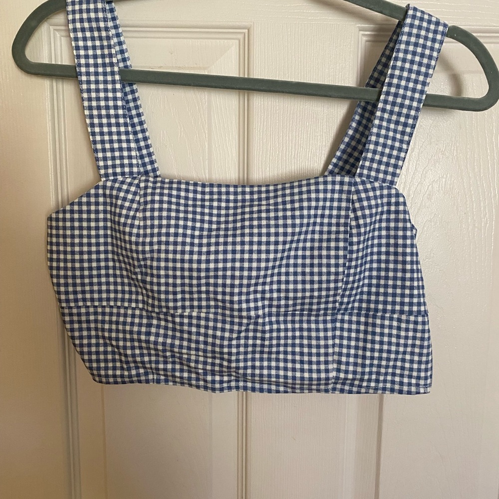 Lulus blue gingham crop top